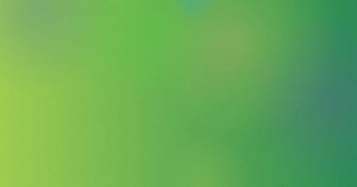 我的年轻母亲怎么用？正确搜索与观看方法